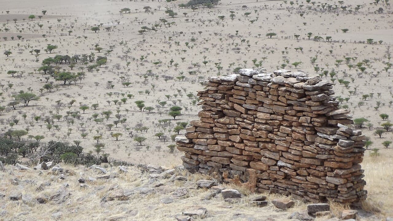La Quemada, foto 2