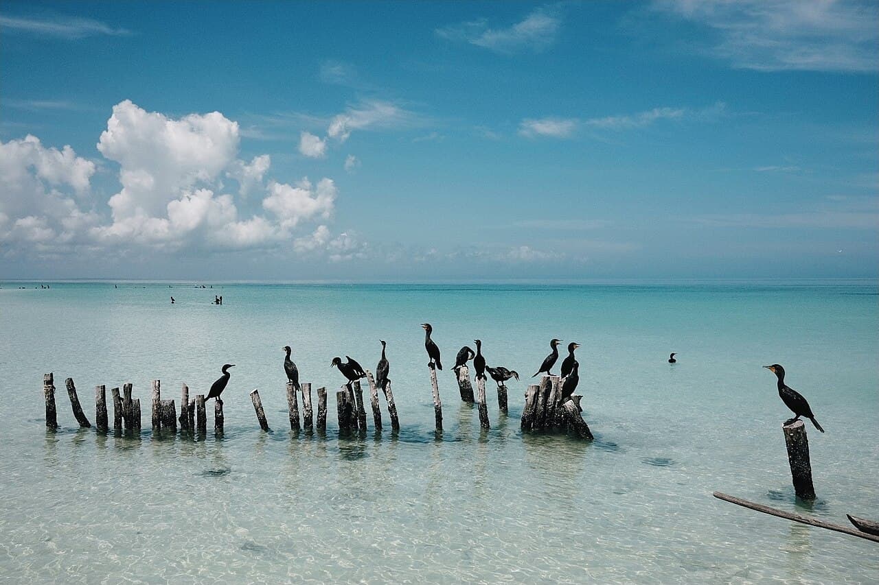 Holbox, foto 2