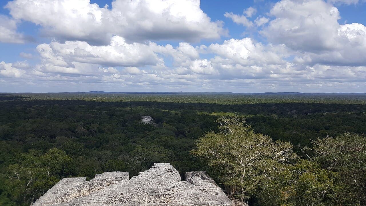 Calakmul, foto 2