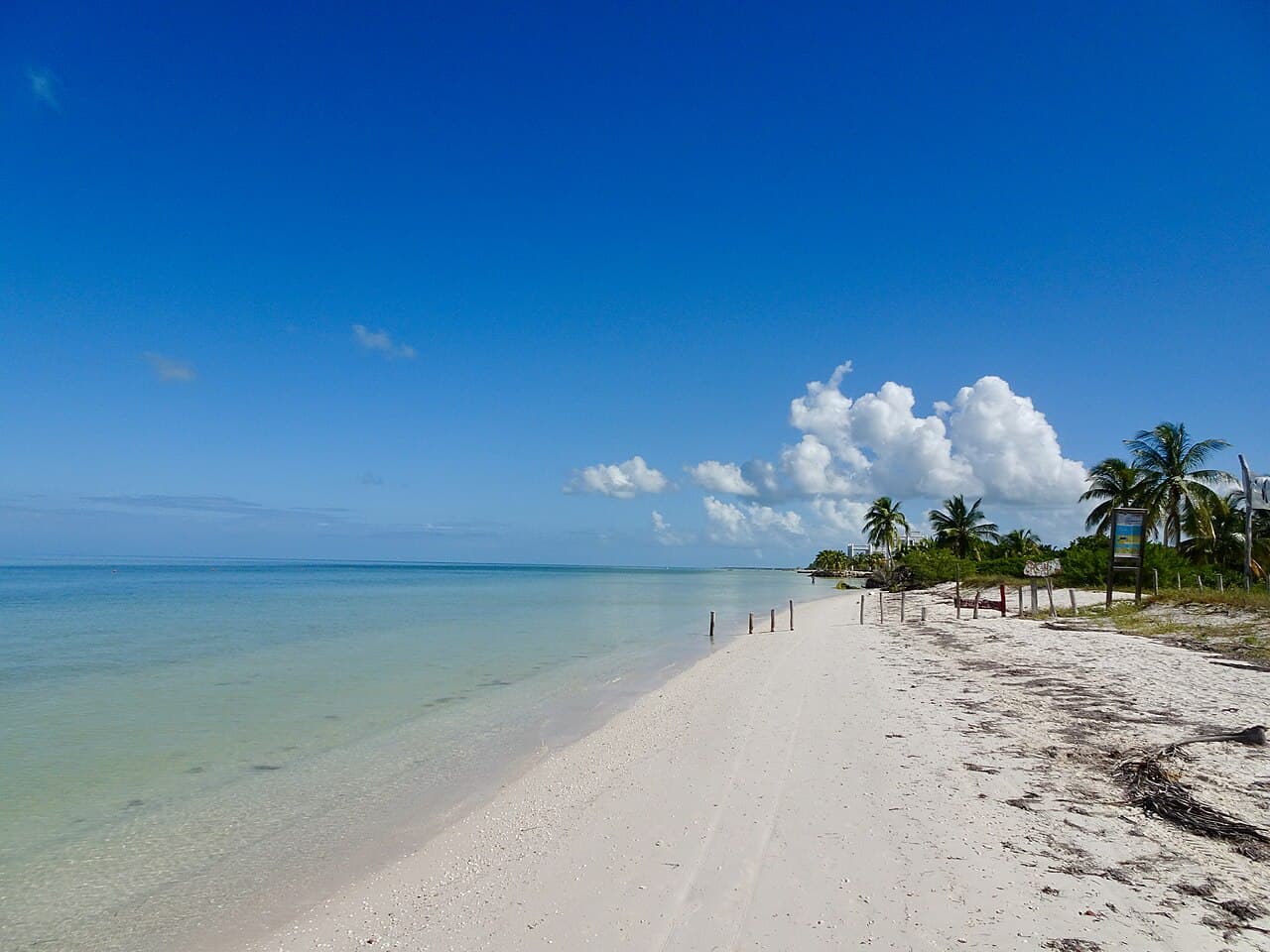 Holbox