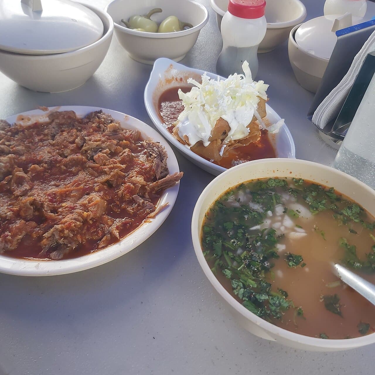 Birria hidrocálida, foto 2