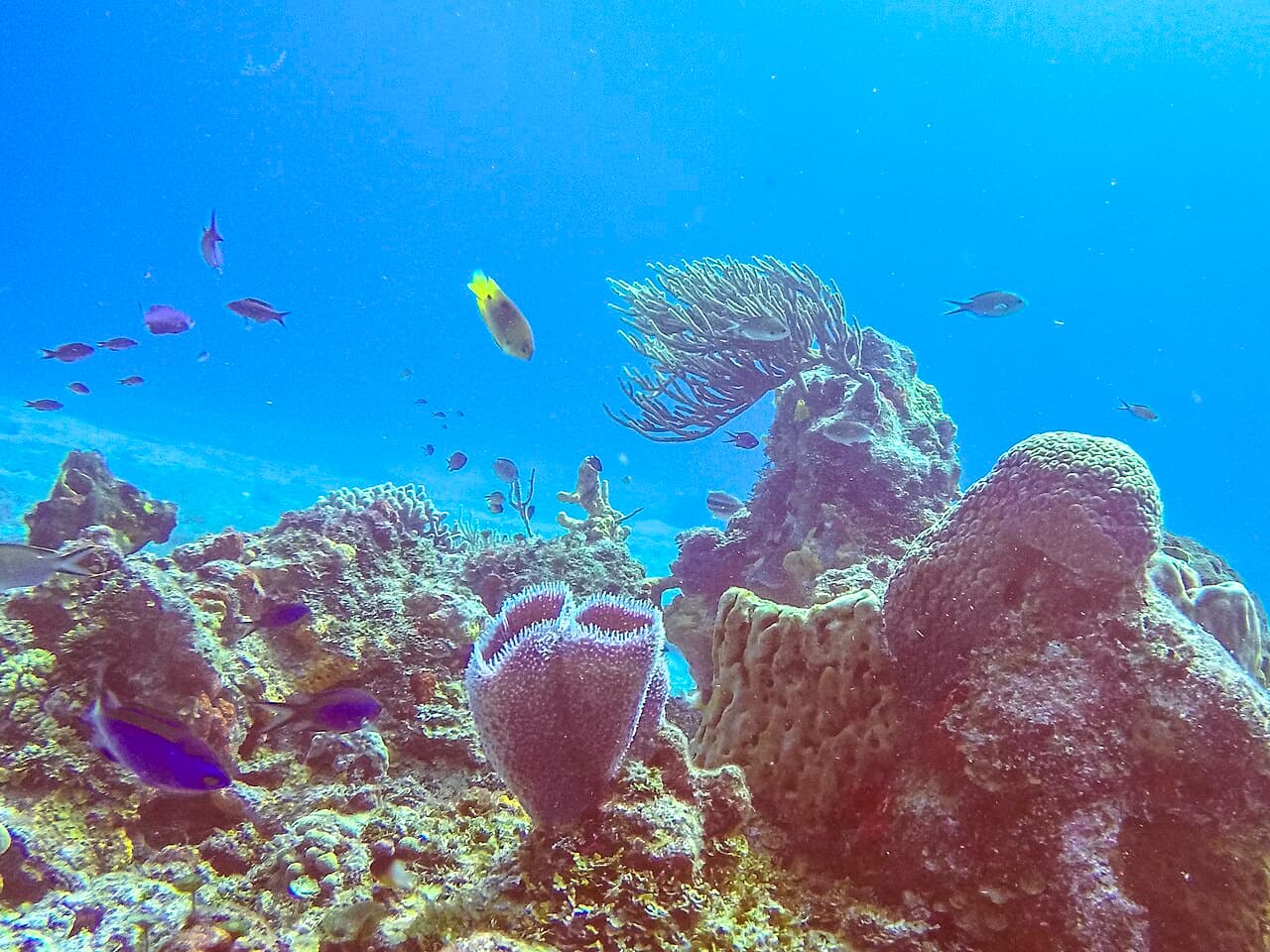 Cozumel, foto 2