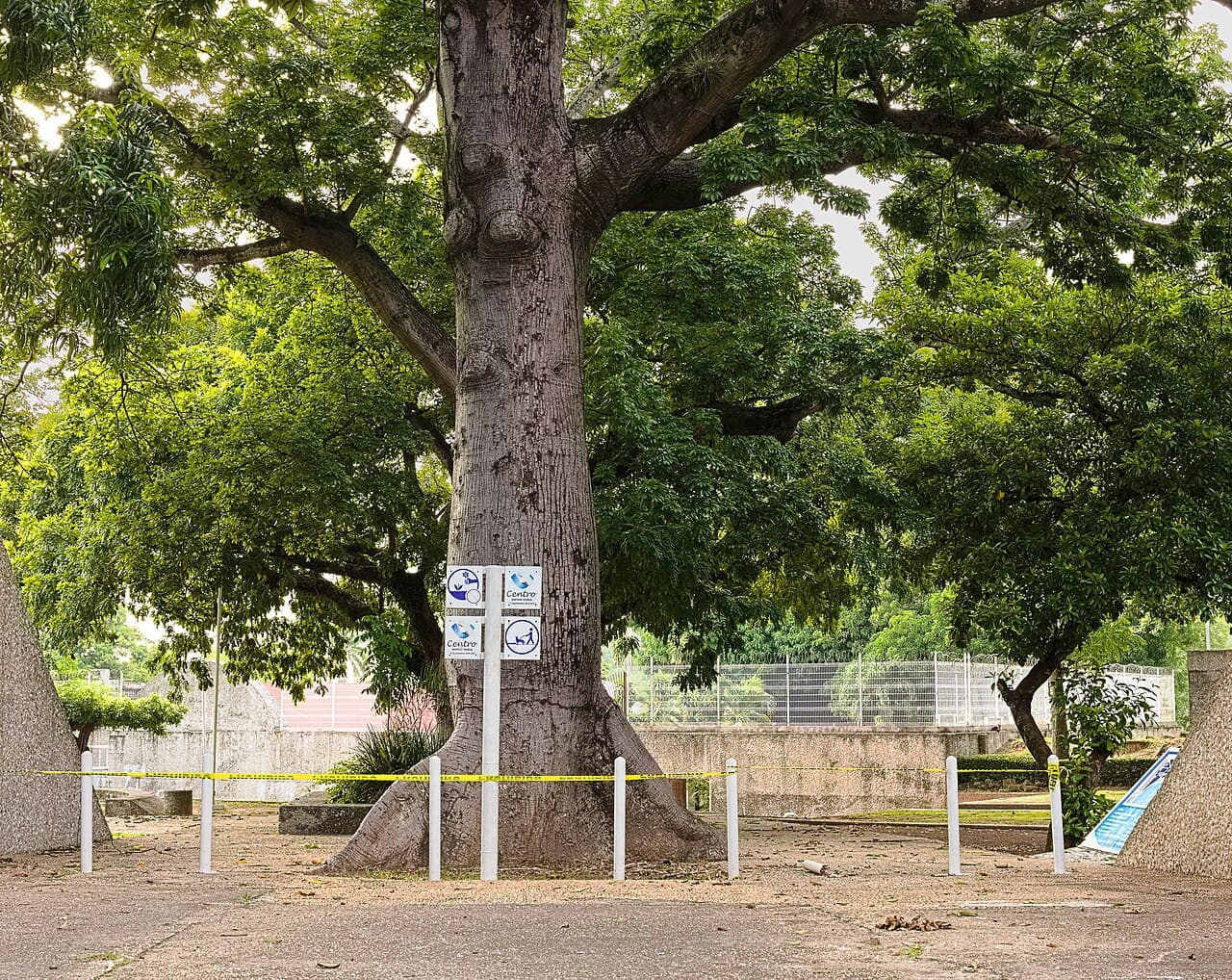 Parque-Museo La Venta, foto 3