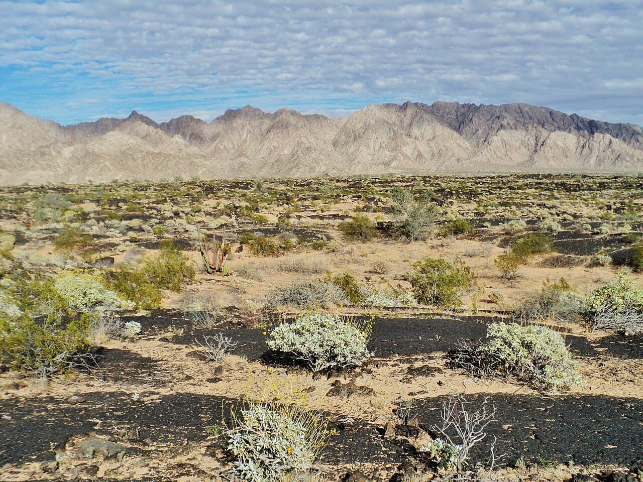 El Pinacate y Gran Desierto de Altar, foto 2