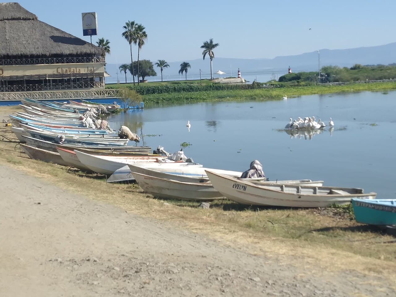 Lago de Chapala, foto 2
