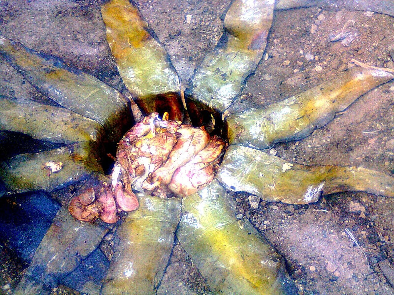 Barbacoa hidalguense, foto 2