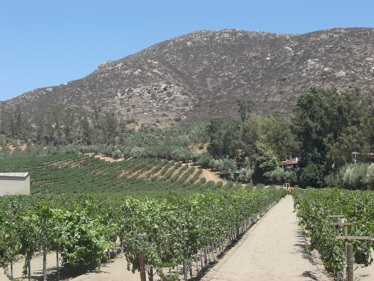 Valle de Guadalupe, foto 2